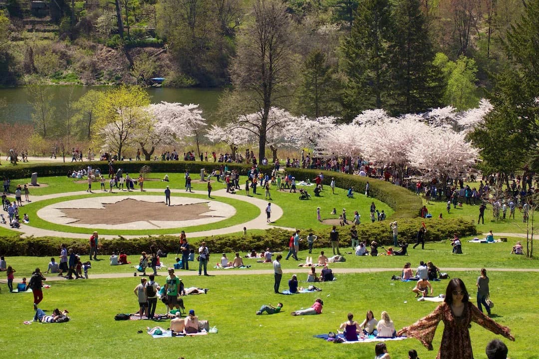 High Park